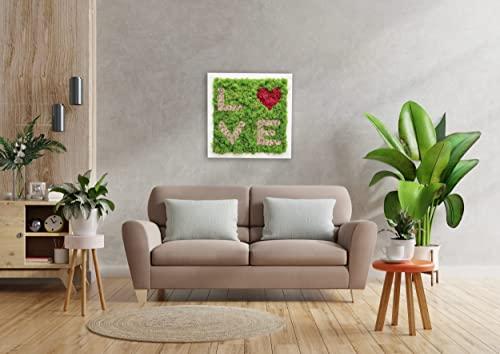 Quadro LOVE di Muschio Stabilizzato, Quadro Vegetale 100% Naturale senza  Manutenzione (50x50)